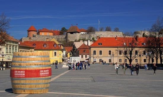 Zdjęcie artykułu
