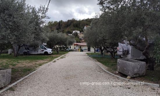 Autocamp Under the Olive Tree